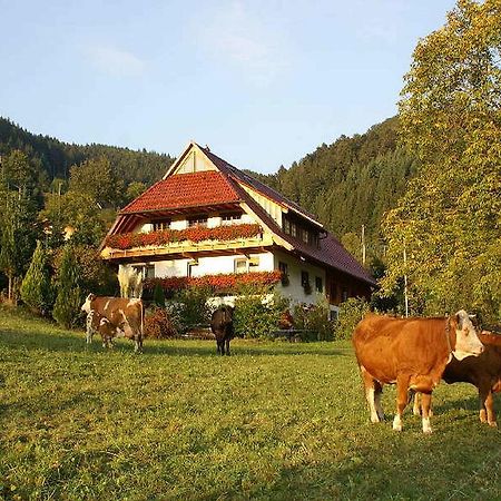 Unterer Gurethshof Lejlighed Zell am Harmersbach Eksteriør billede
