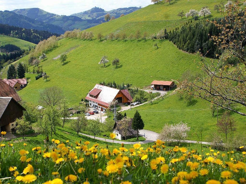Unterer Gurethshof Lejlighed Zell am Harmersbach Eksteriør billede