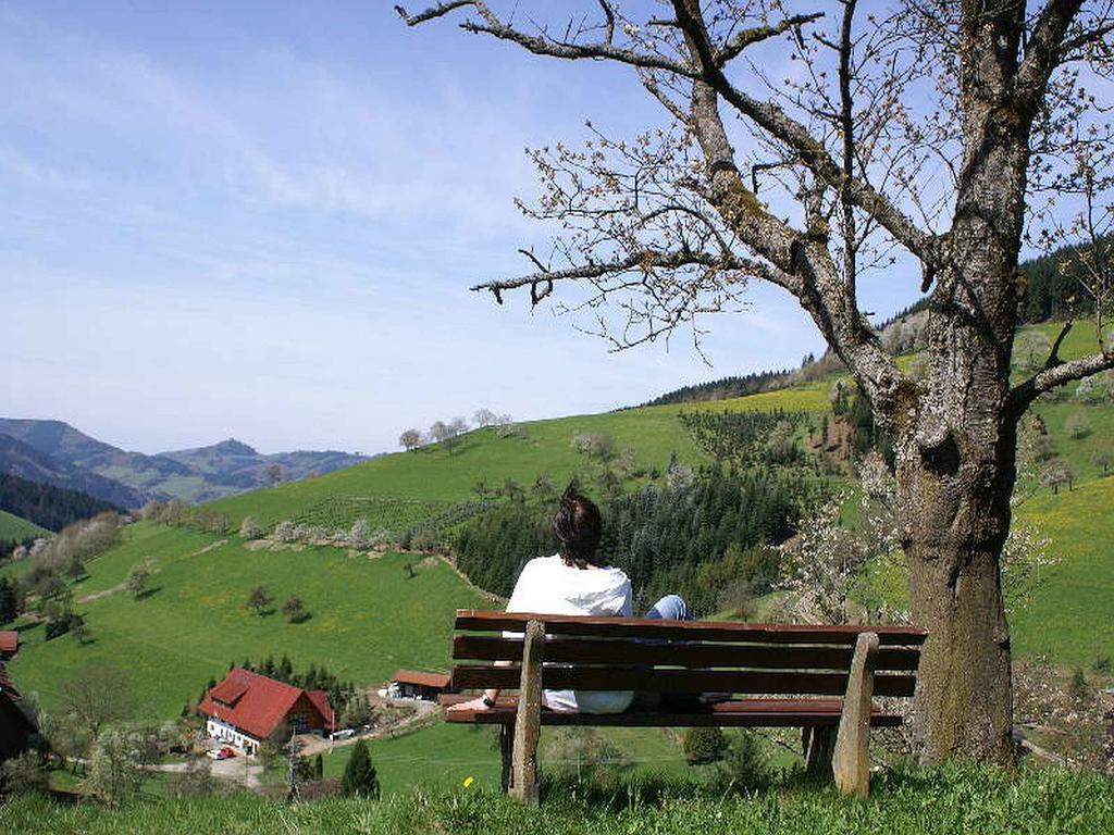 Unterer Gurethshof Lejlighed Zell am Harmersbach Eksteriør billede