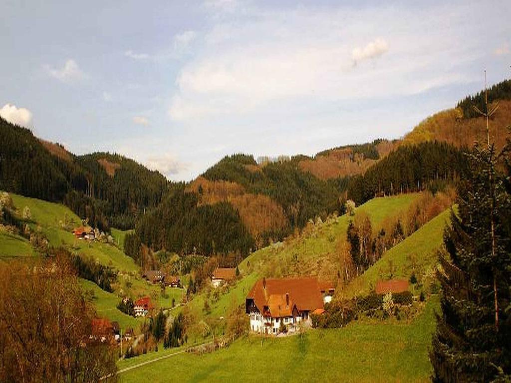 Unterer Gurethshof Lejlighed Zell am Harmersbach Eksteriør billede