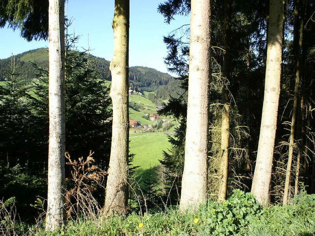 Unterer Gurethshof Lejlighed Zell am Harmersbach Eksteriør billede